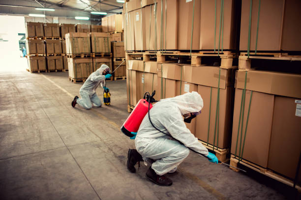 Best Cockroach Control Services  in Manhasset, NY