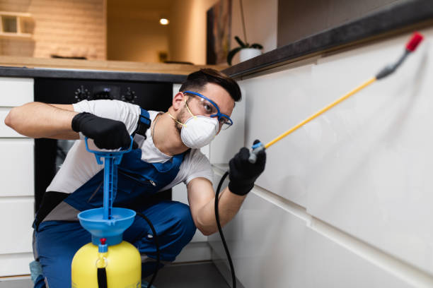 Best Best Pest Control Companies  in Manhasset, NY