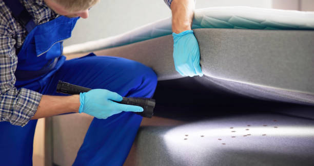 Best Emergency Pest Control  in Manhasset, NY