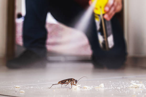 Best Mosquito Control Services  in Manhasset, NY